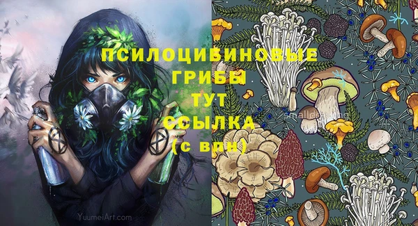 твердый Арсеньев