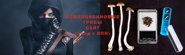 твердый Арсеньев