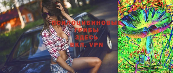 твердый Арсеньев