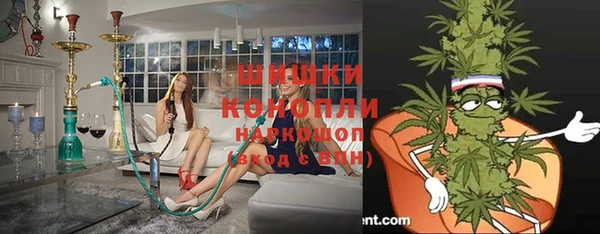 прущие грибы Баксан